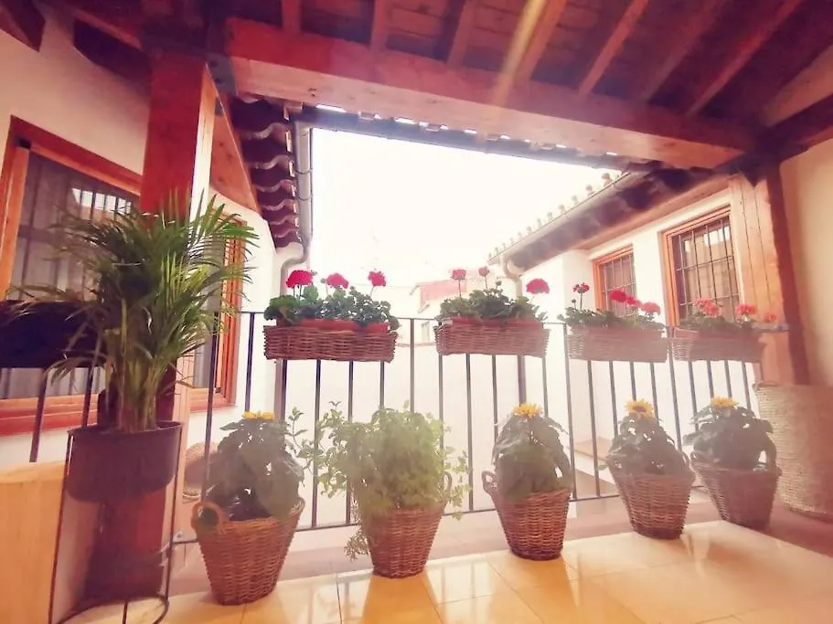 Attico Luxury Suitemalaga Spain