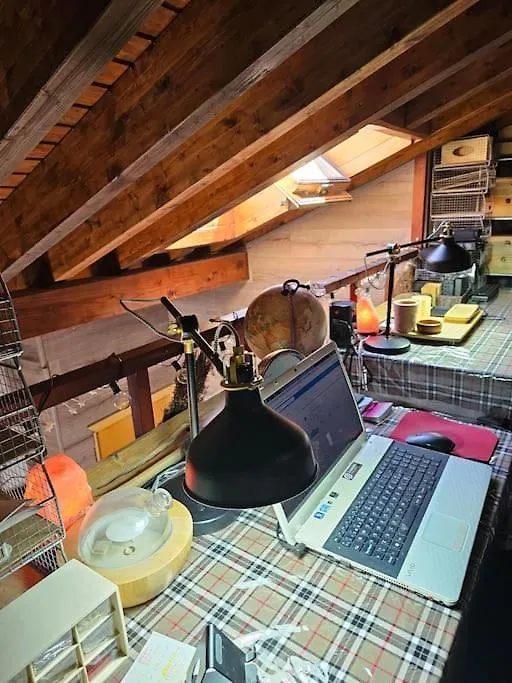Attico Luxury Suitemalaga Apartment