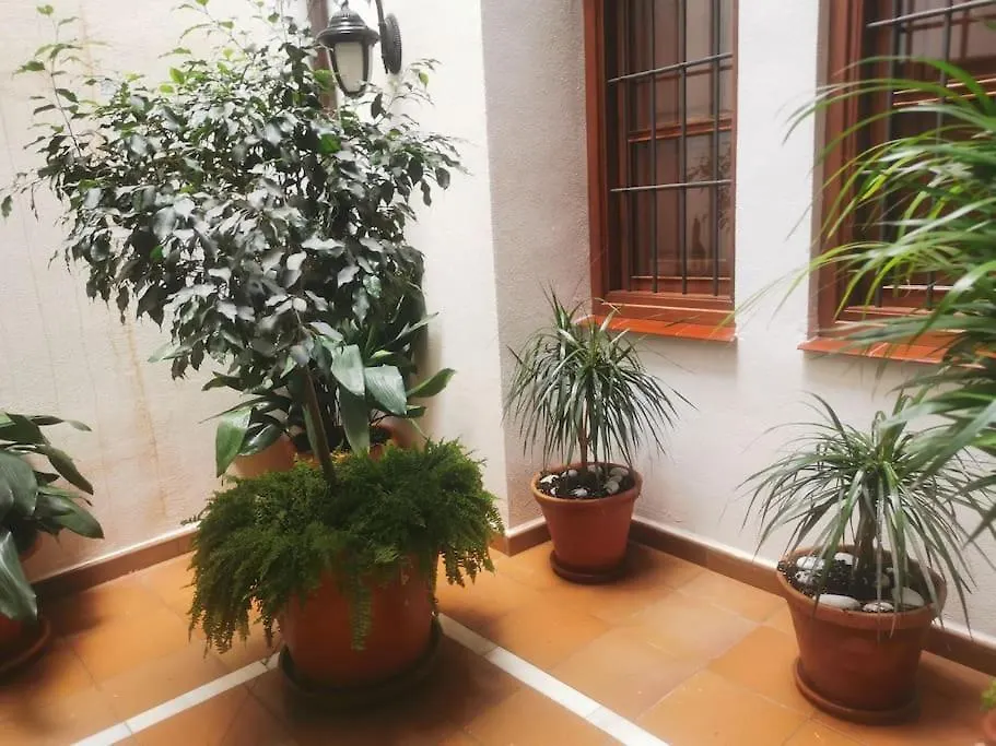 Attico Luxury Suitemalaga 0*, Malaga Spain